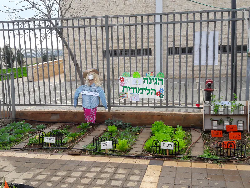 גן תמר בית שאן