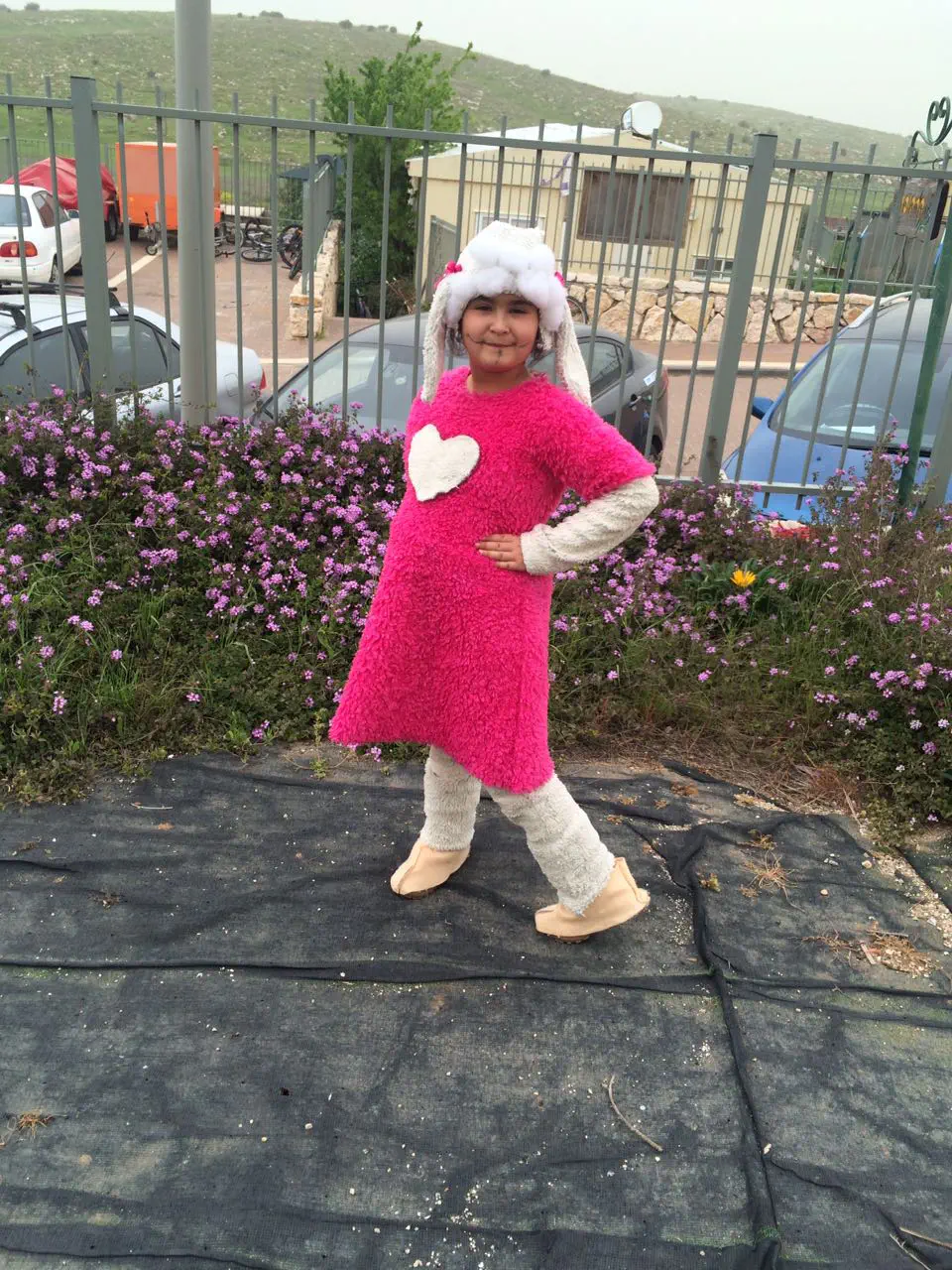 מיכל קרקובר נטע, הכבשה ניקי