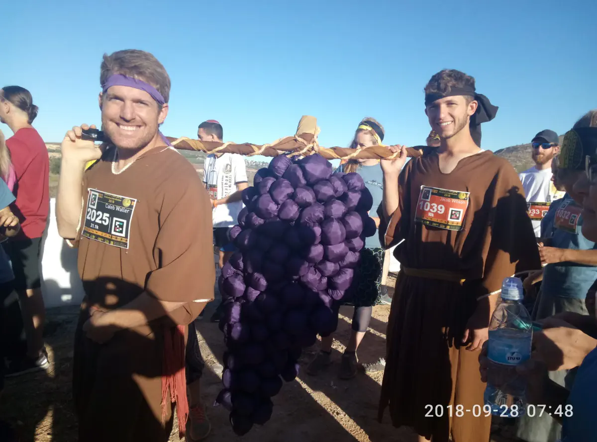 מרתון התנ"ך