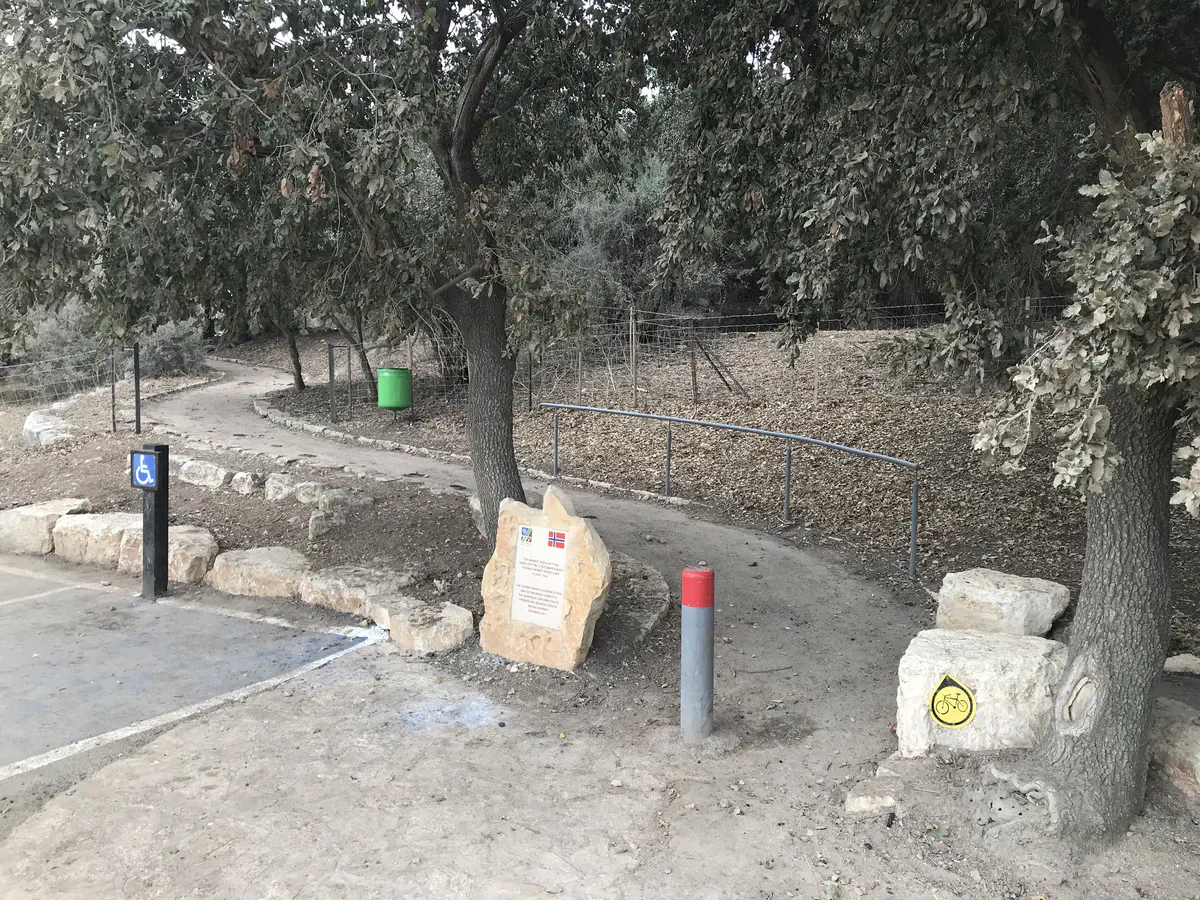 יער ציפורי