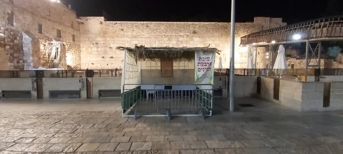 'סוכת ארבעת המינים'