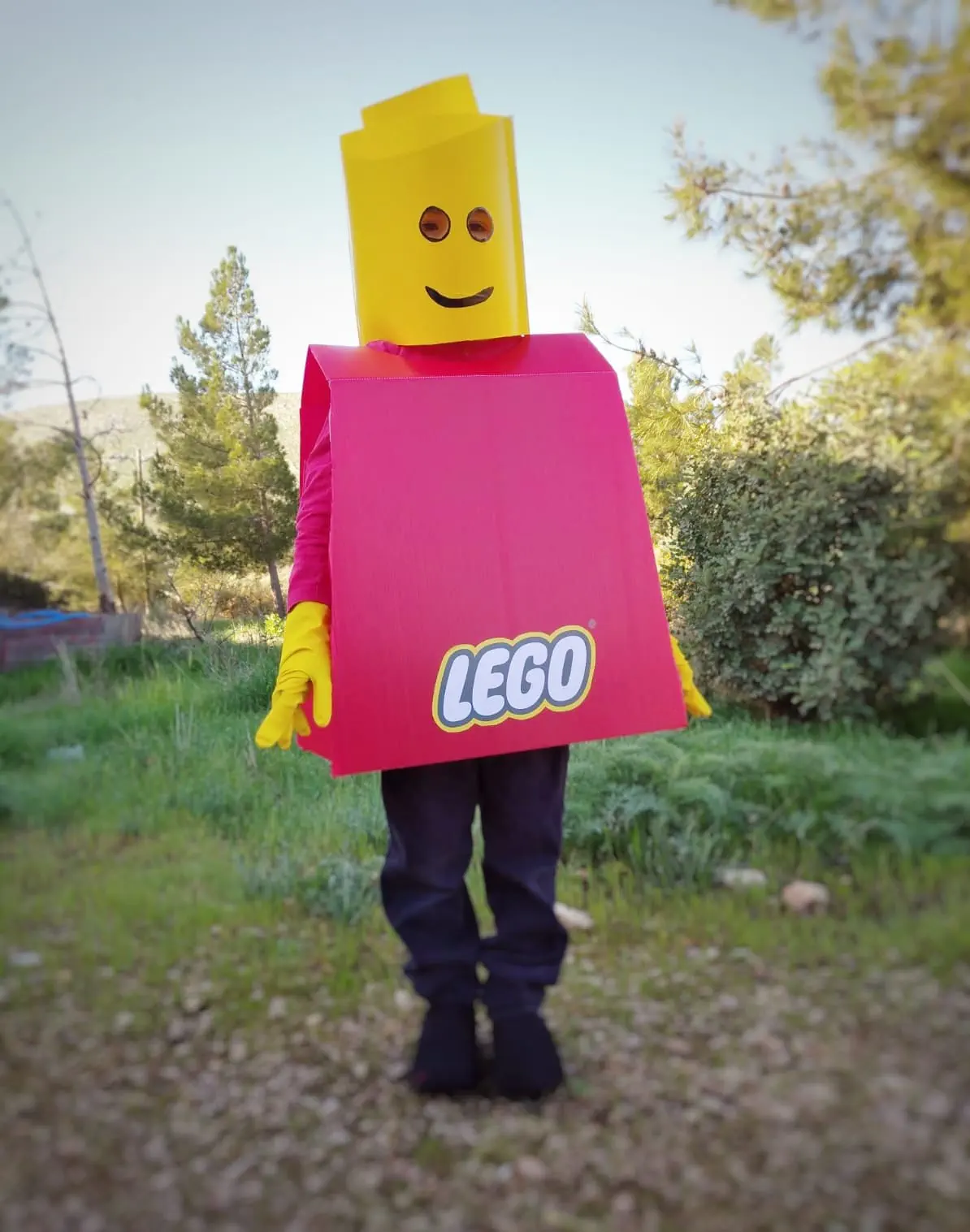 צור גרינולד ממצפה כרמים - איש לגו