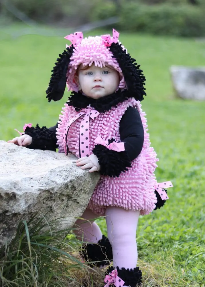 אילה מהצפון התחפשה לכלב