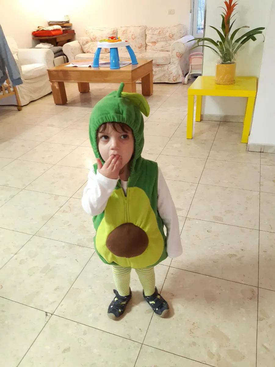 אבוקדו. מלאכי זרביב ממבשרת ציון