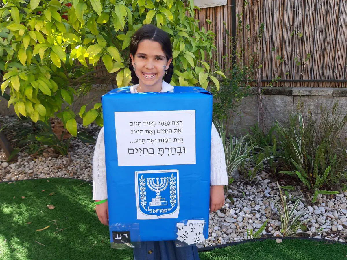 טליה הולשטיין מיד בנימין - בחירות