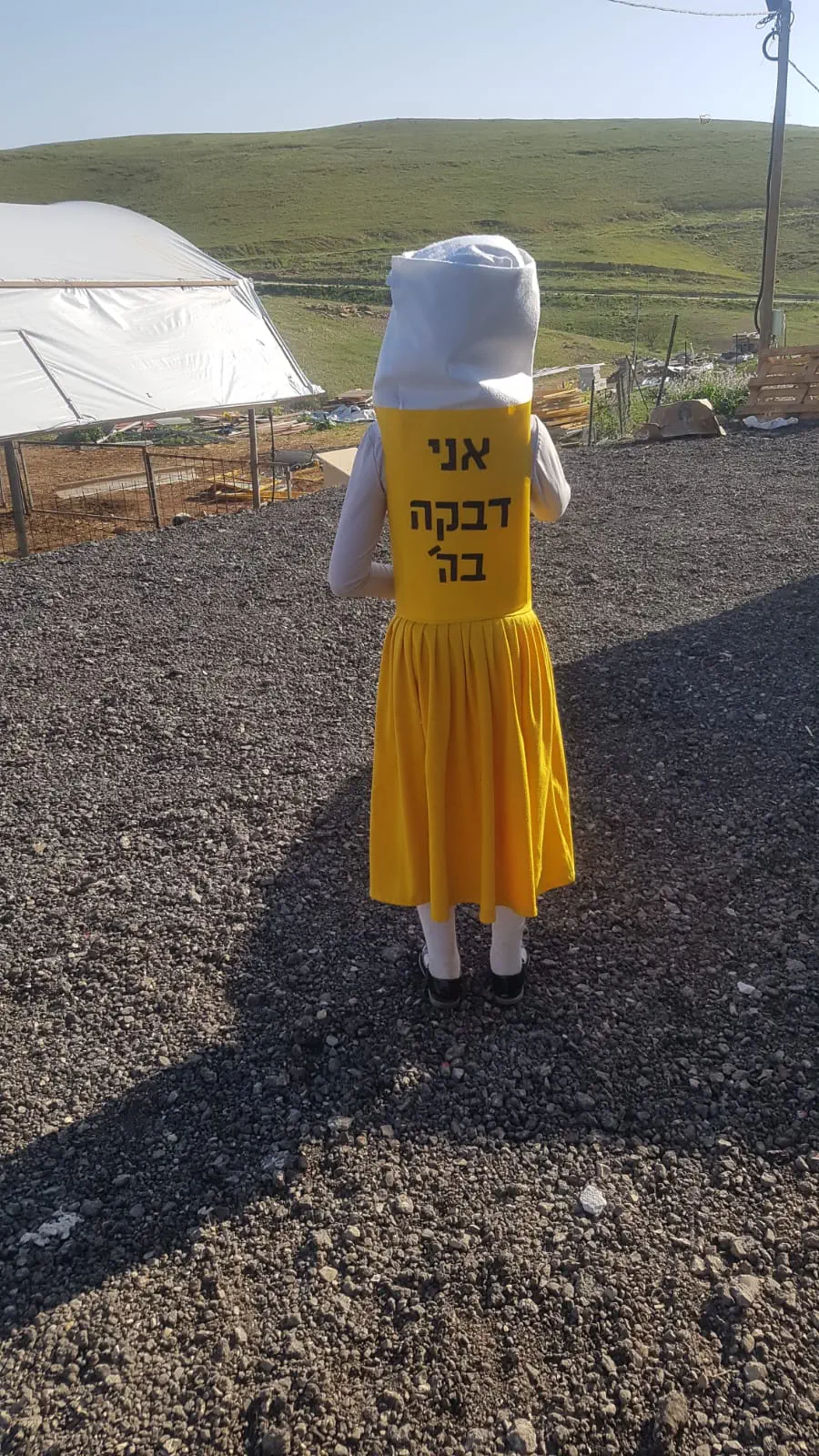 משפחת פרידמן חוות לכתחילה מצפה יריחו