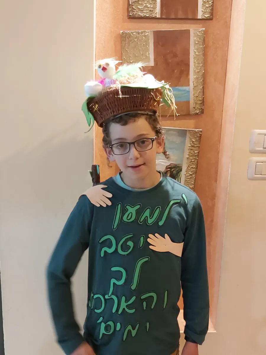 אביחי גנץ,שילוח הקן