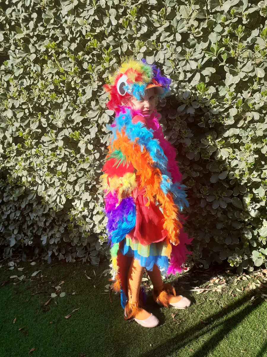 ספיר מילר מרחובות תוכי