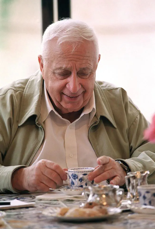 שרון נהנה משתייה חמה