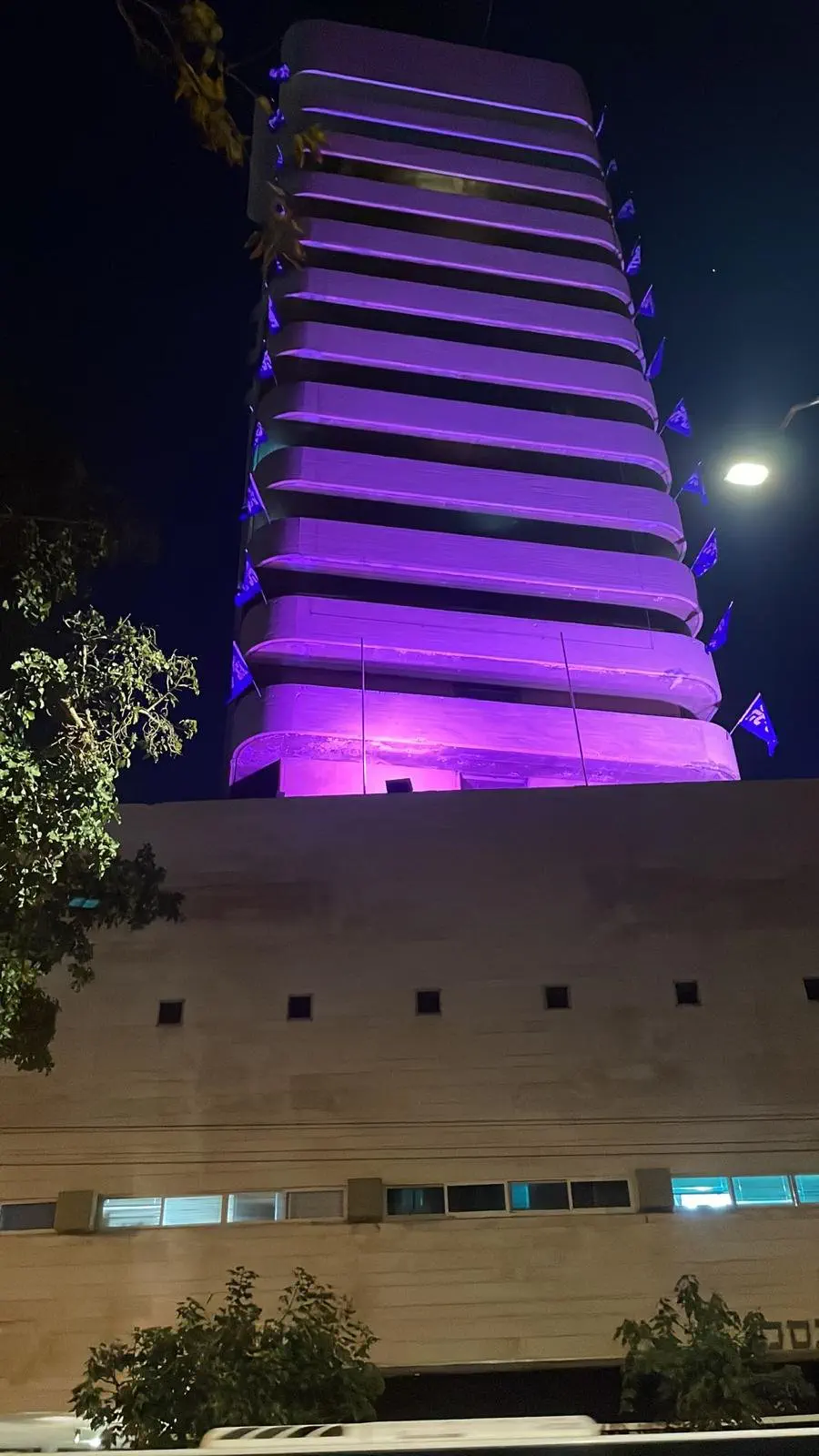 לילה סגול במצודת זאב