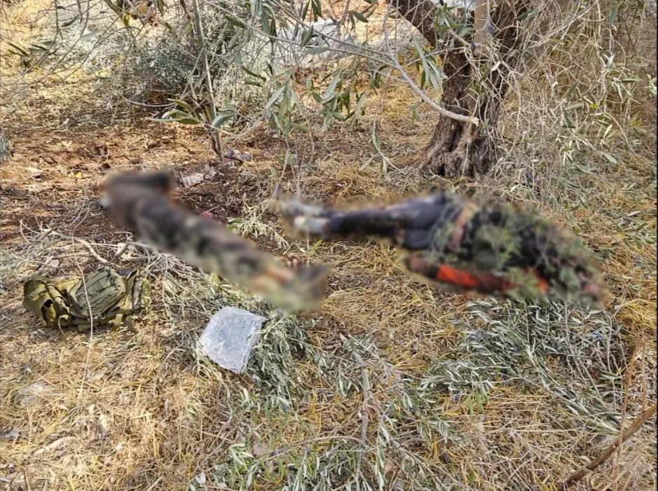 מחבלים שחוסלו