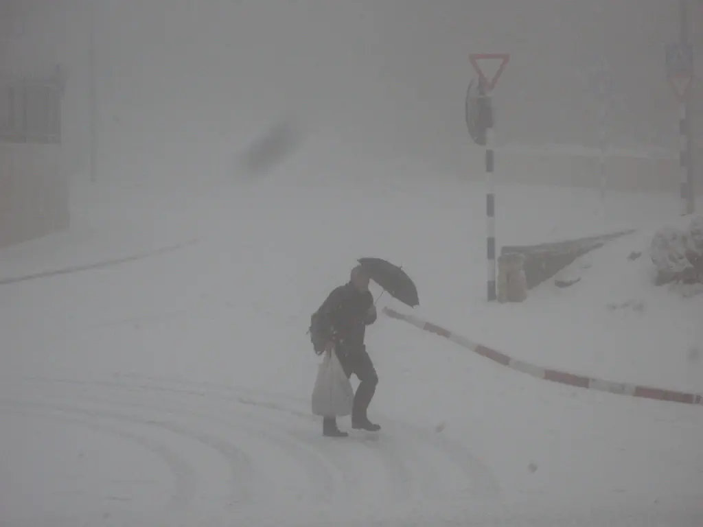 קריית ארבע הבוקר