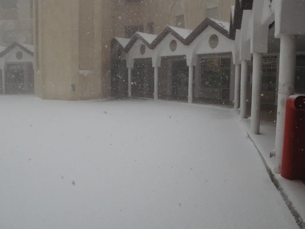 קריית ארבע הבוקר