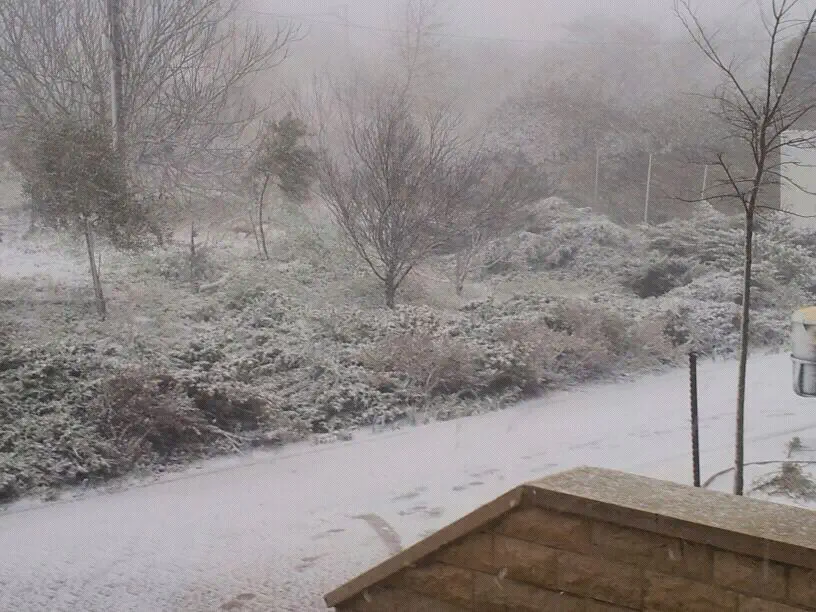 הר ברכה הבוקר