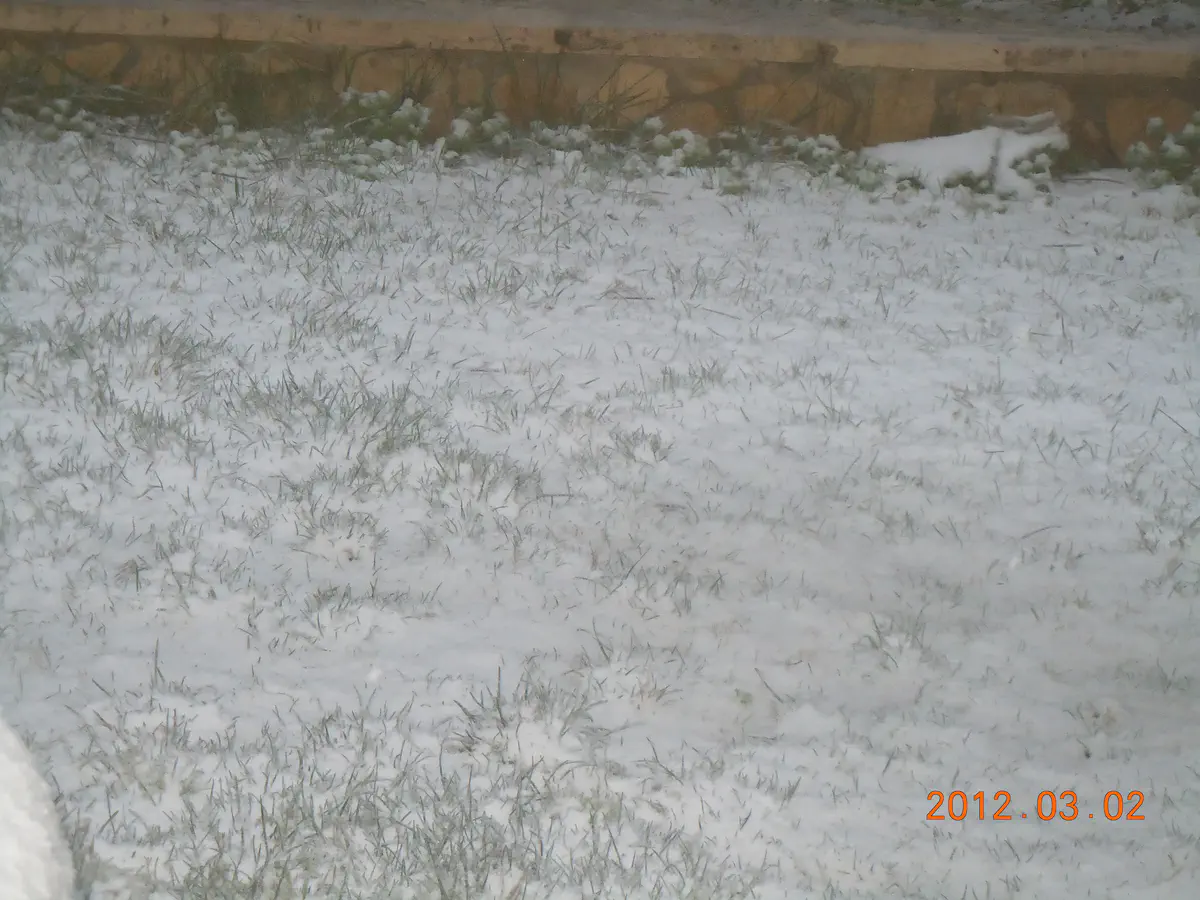 שלג בראש צורים בגוש עציון