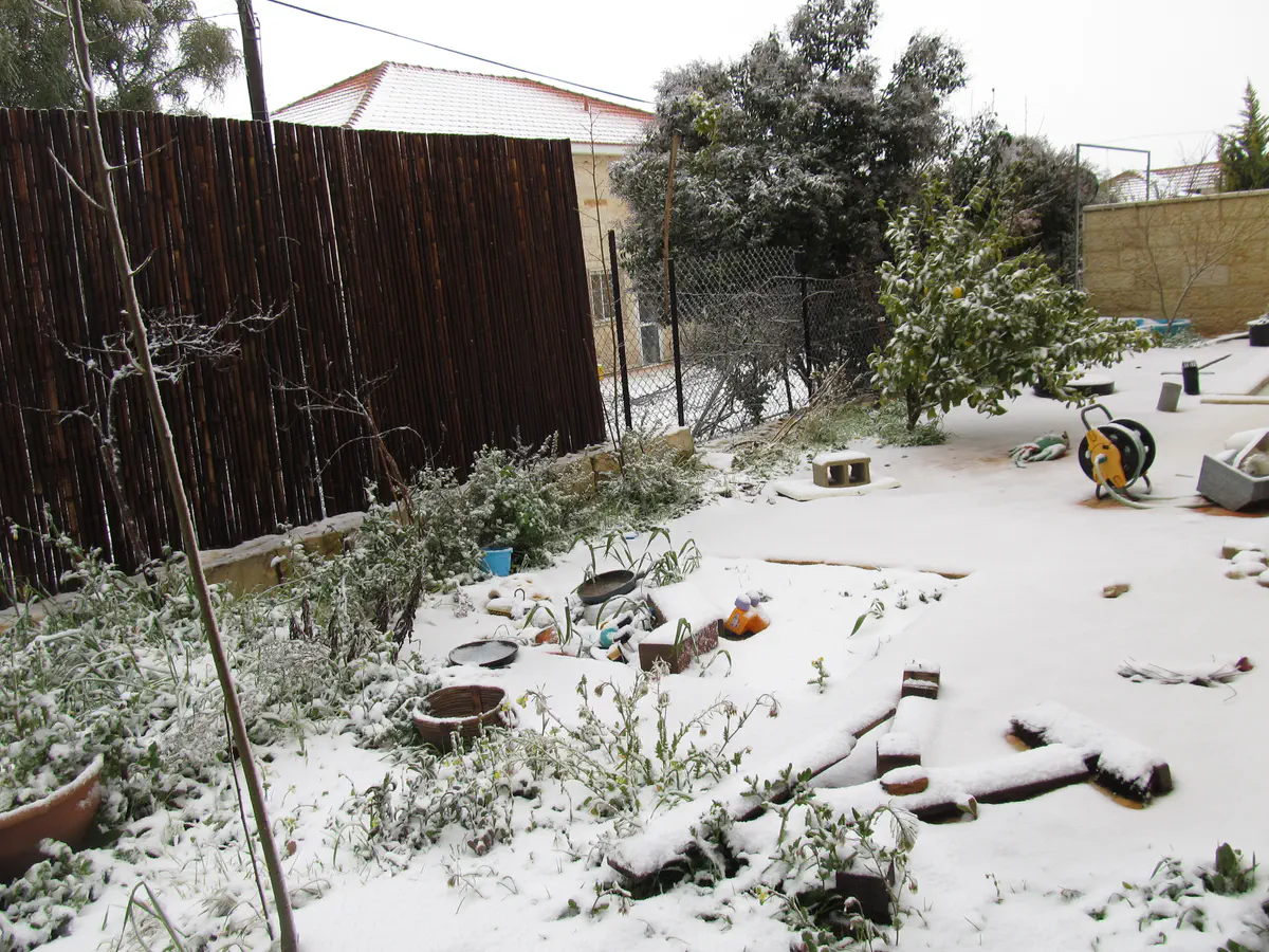שלג בגוש עציון