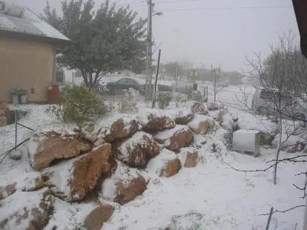 שלג בבית חגי