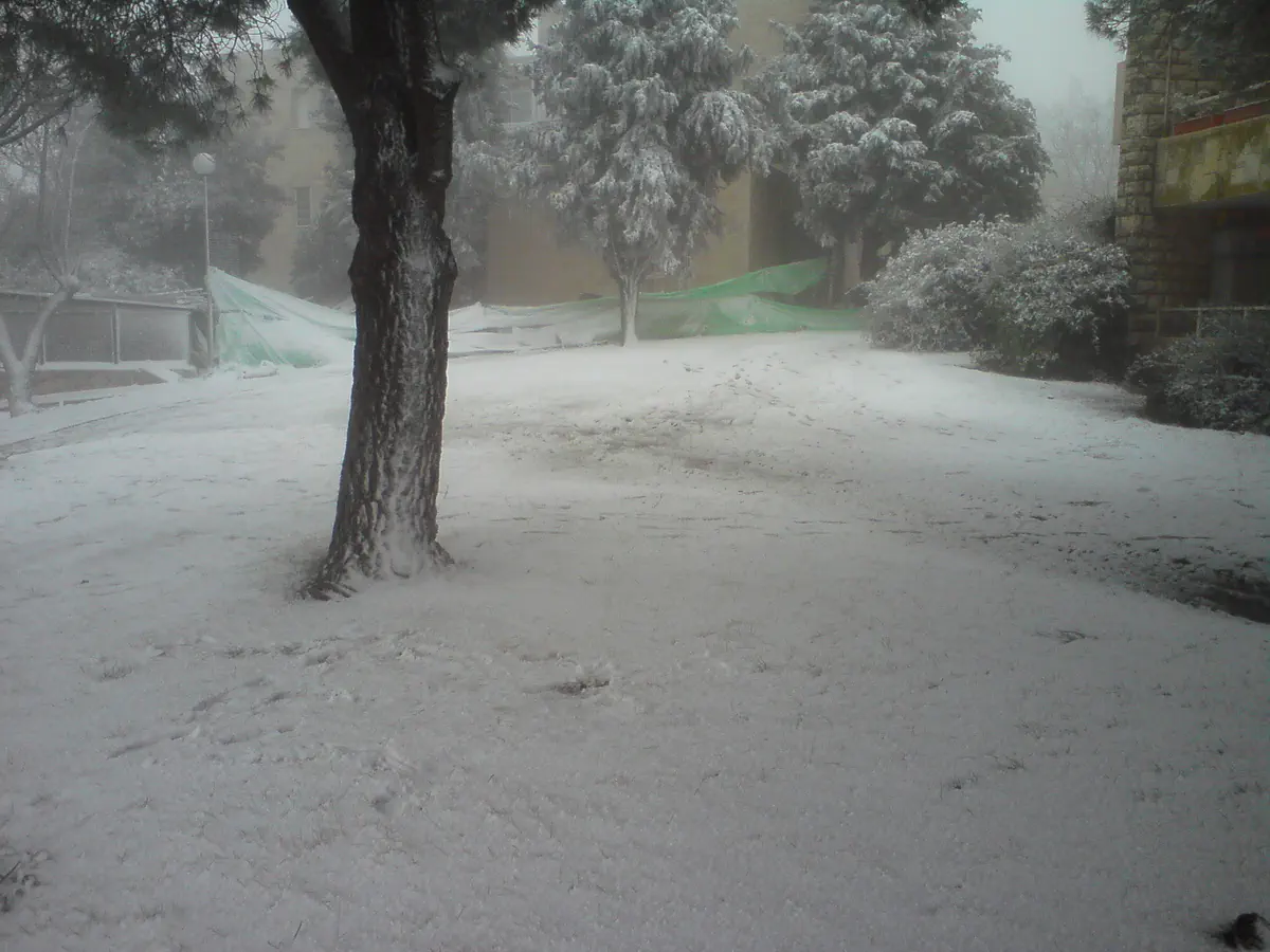 שלג באלון שבות