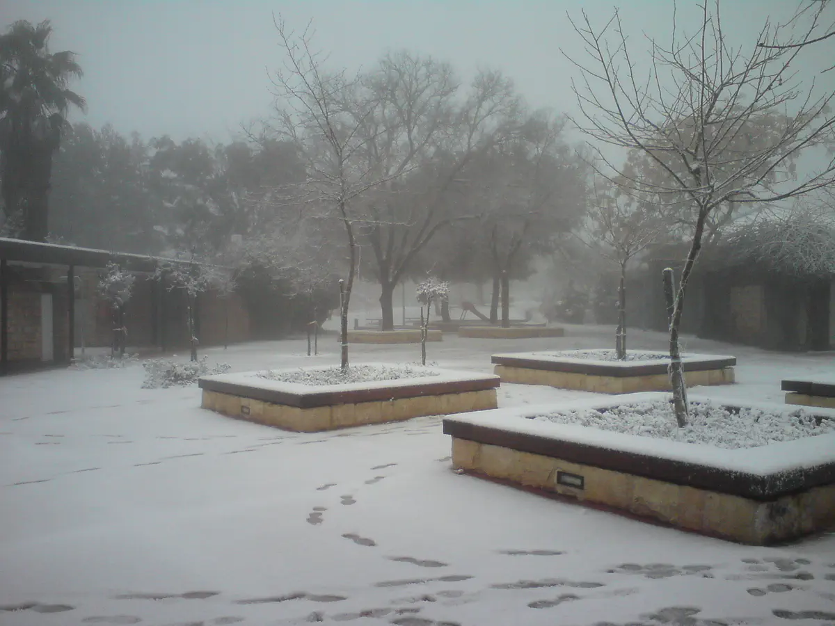 שלג באלון שבות