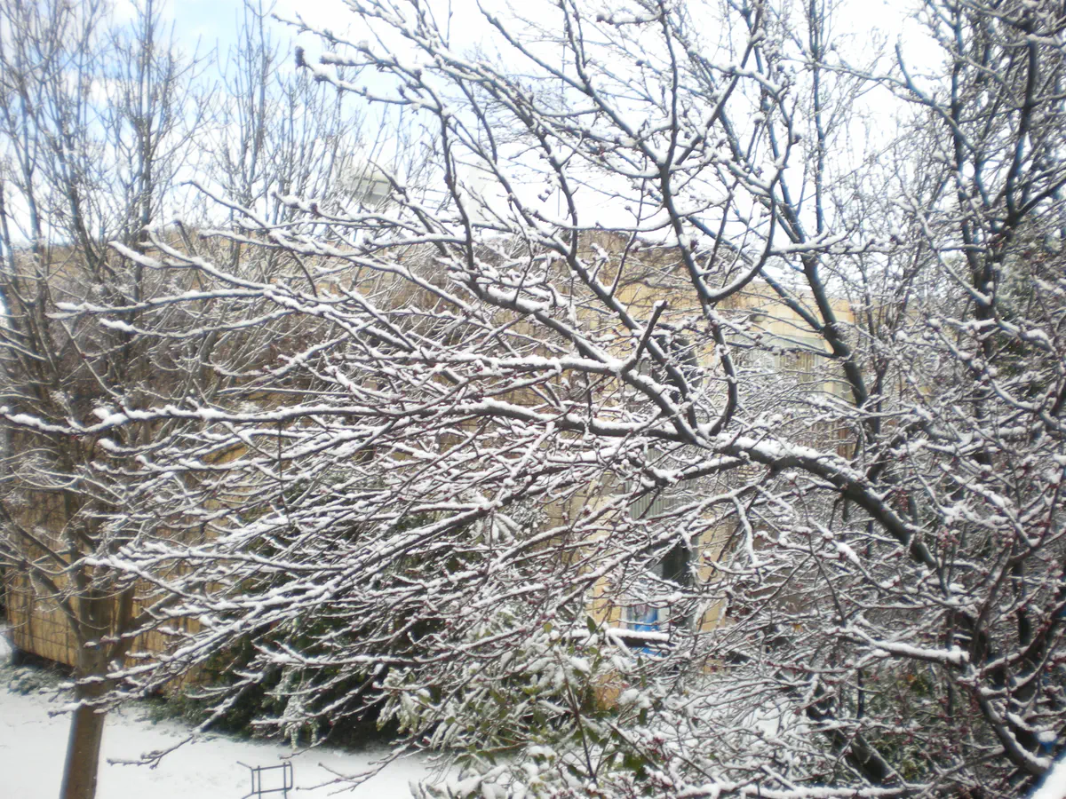 שלג בבית אל