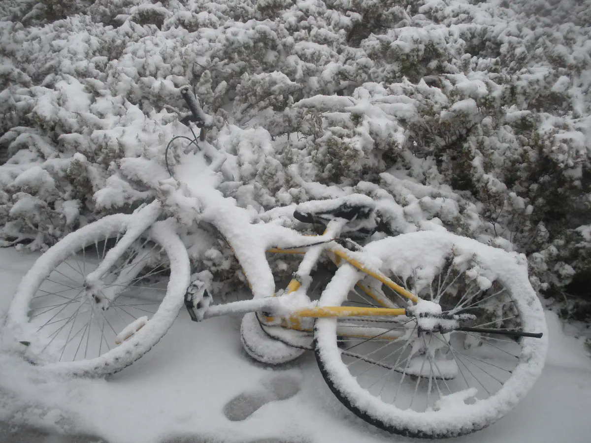 שלג באלון שבות