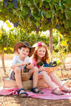 פסטיבל הבציר בגוש עציון