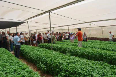 חלקאות בבקעת הירדן