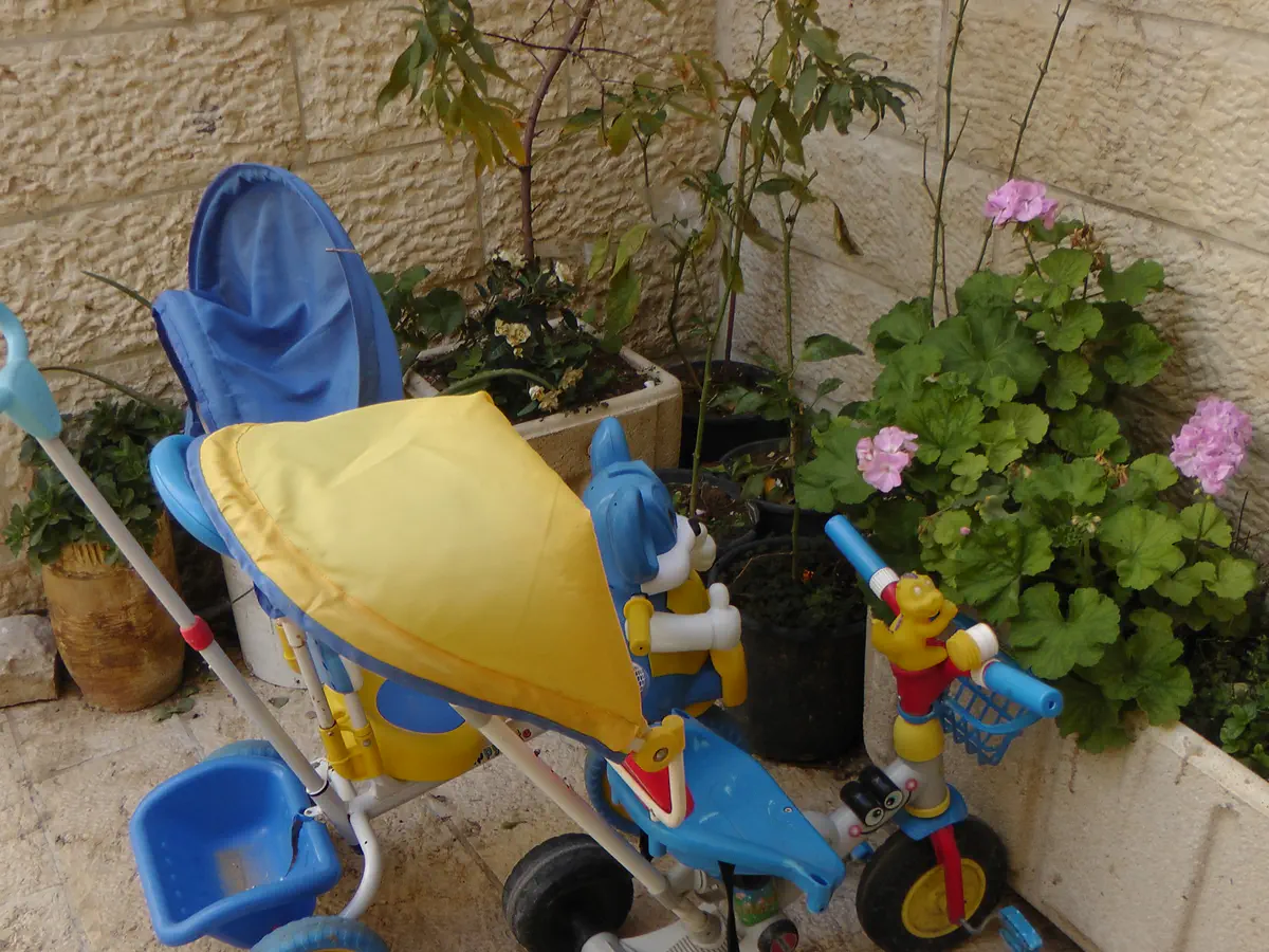 בית עזרא מבחוץ
