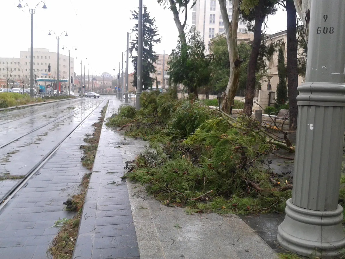 עצים קרסו בירושלים