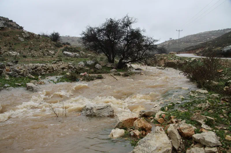ואדי שיבן - 'ציר הזבל'