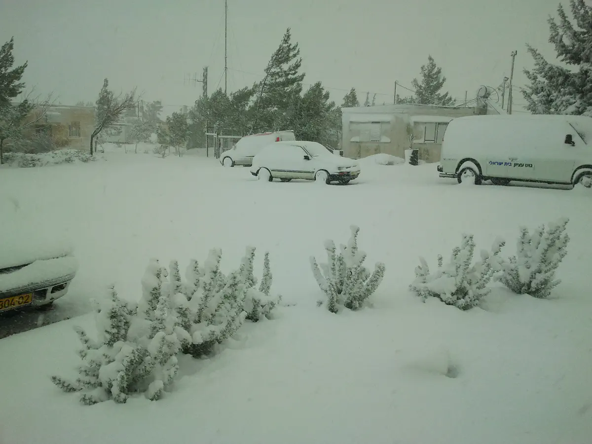 שלג בישוב מיצד