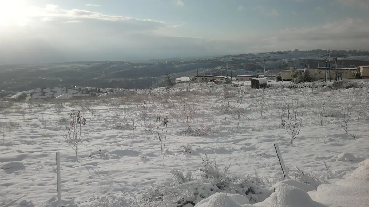 שלג בכוכב יעקב