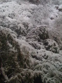 שלג בביתר עילית