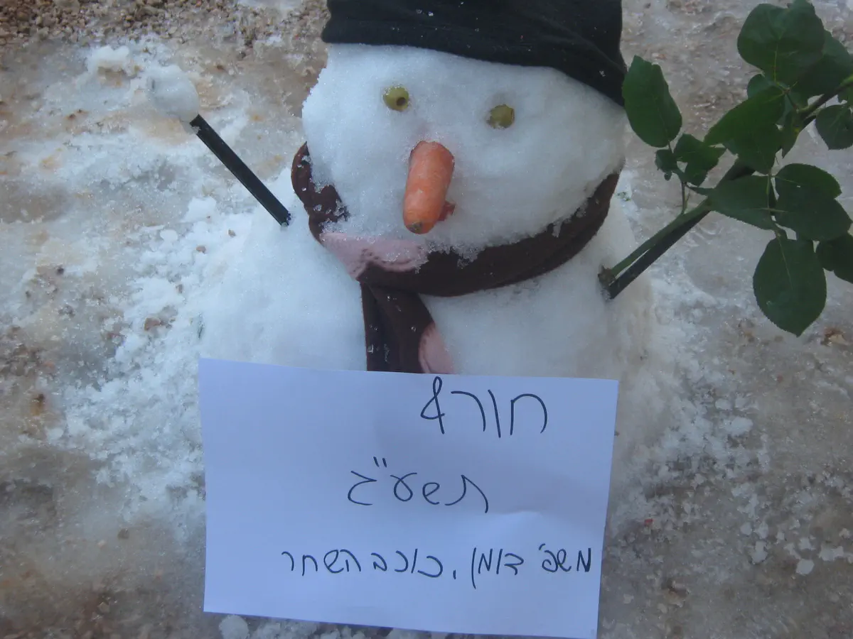 בובת שלג בכוכב השחר