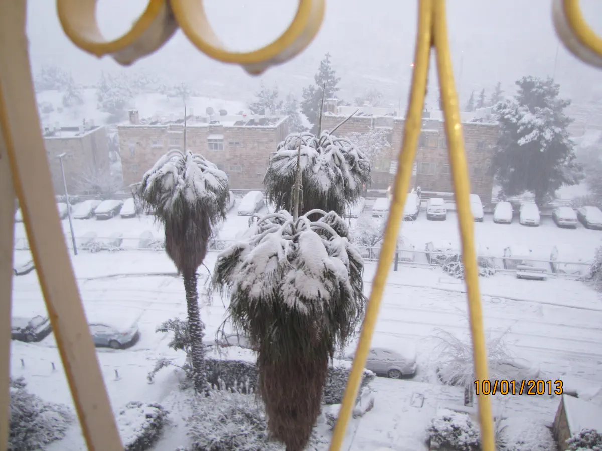 שלג בגבעת מרדכי