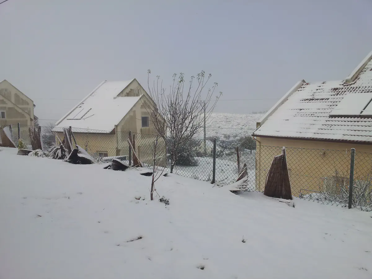 שלג בשבות רחל