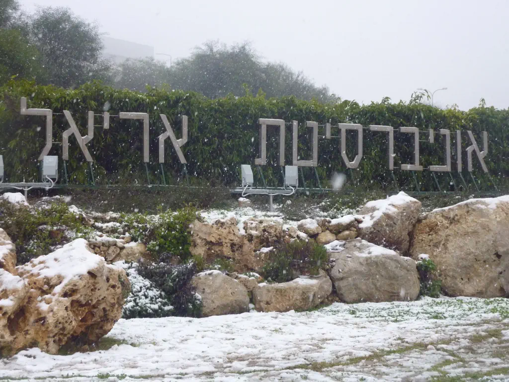 אוניברסיטת אריאל