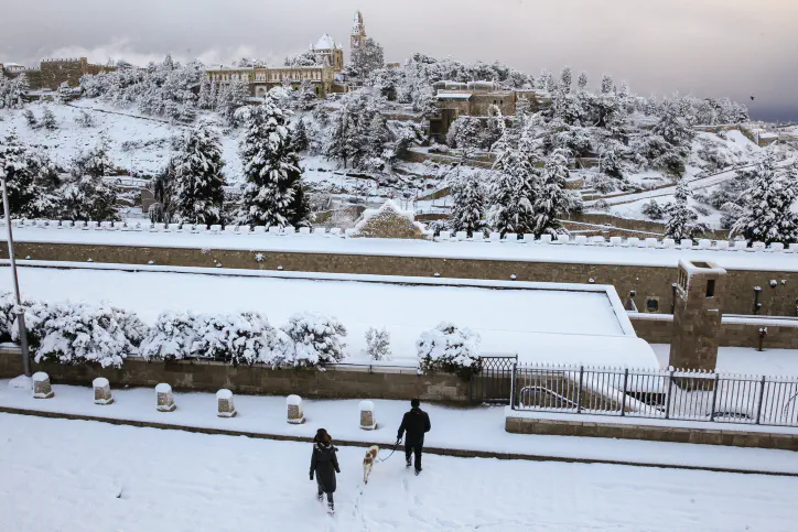 משכנות שאננים בשלג