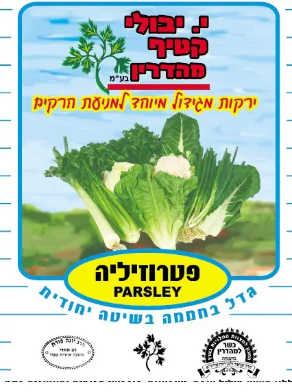 האריזה החדשה
