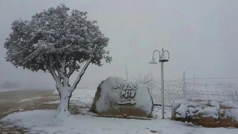 שלג באיתמר. הבוקר