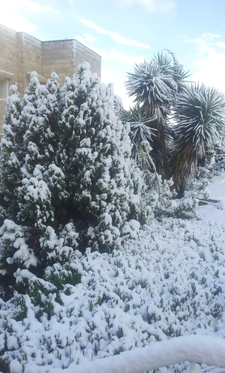 שלג בישיבת הר ברכה