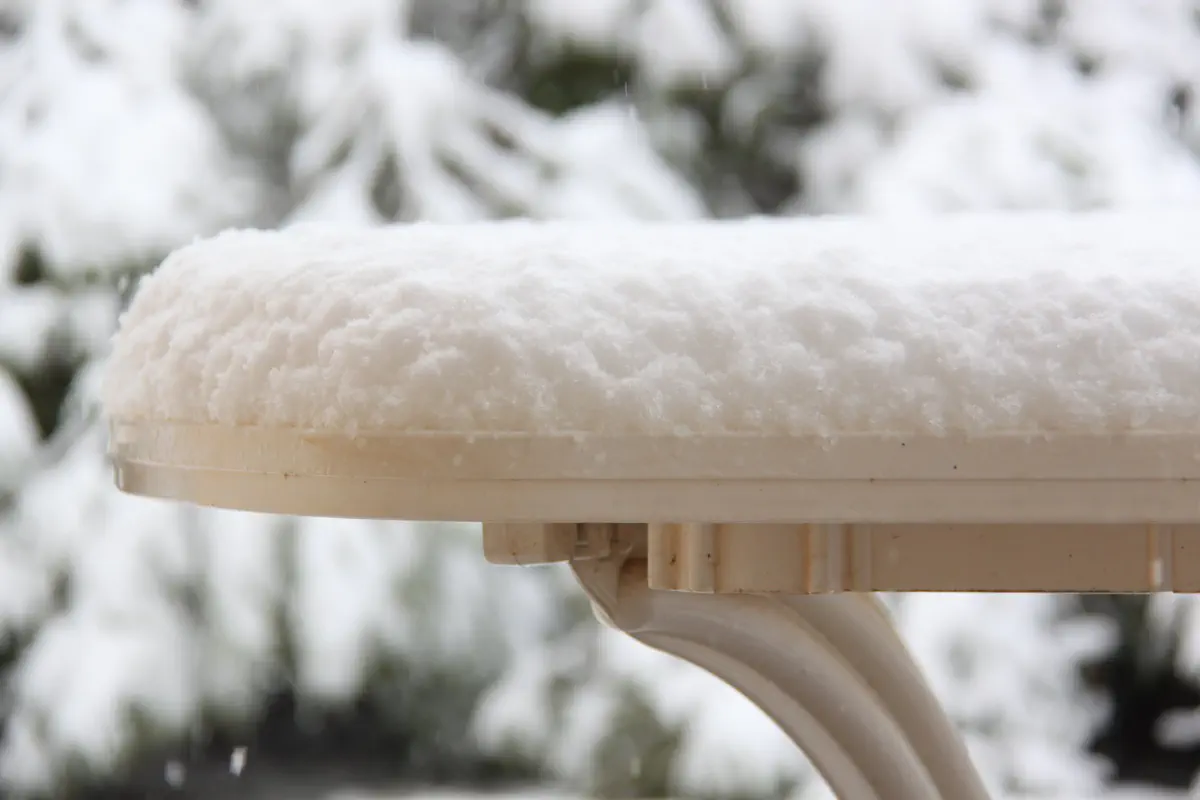 שלג בבית חג