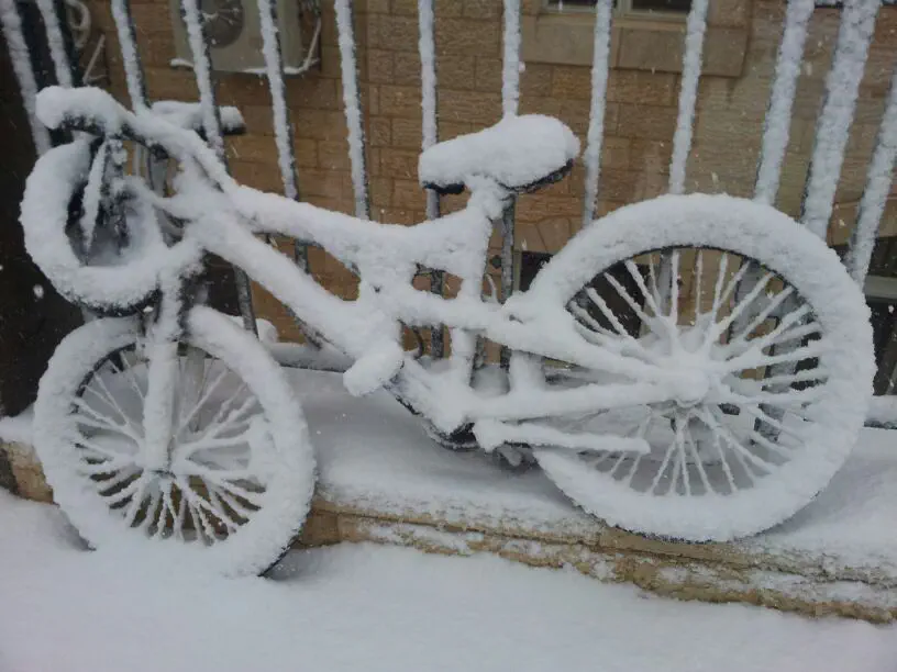 שלג באלון שבות