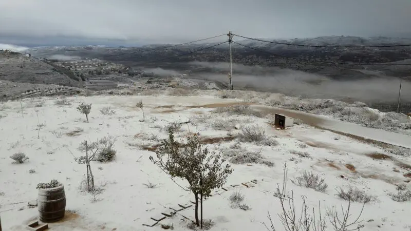 שלג בהרי בנימין