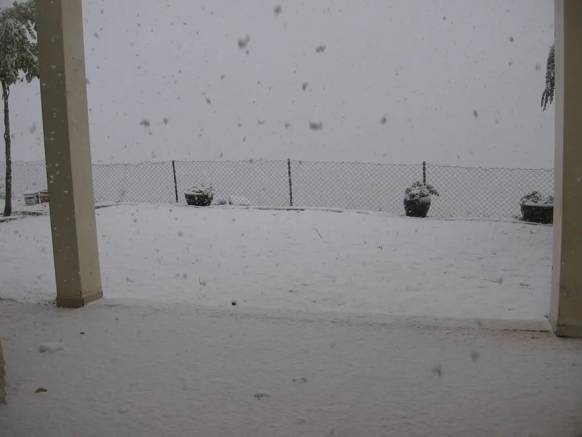 שלג על ספר המדבר - מעלה חבר