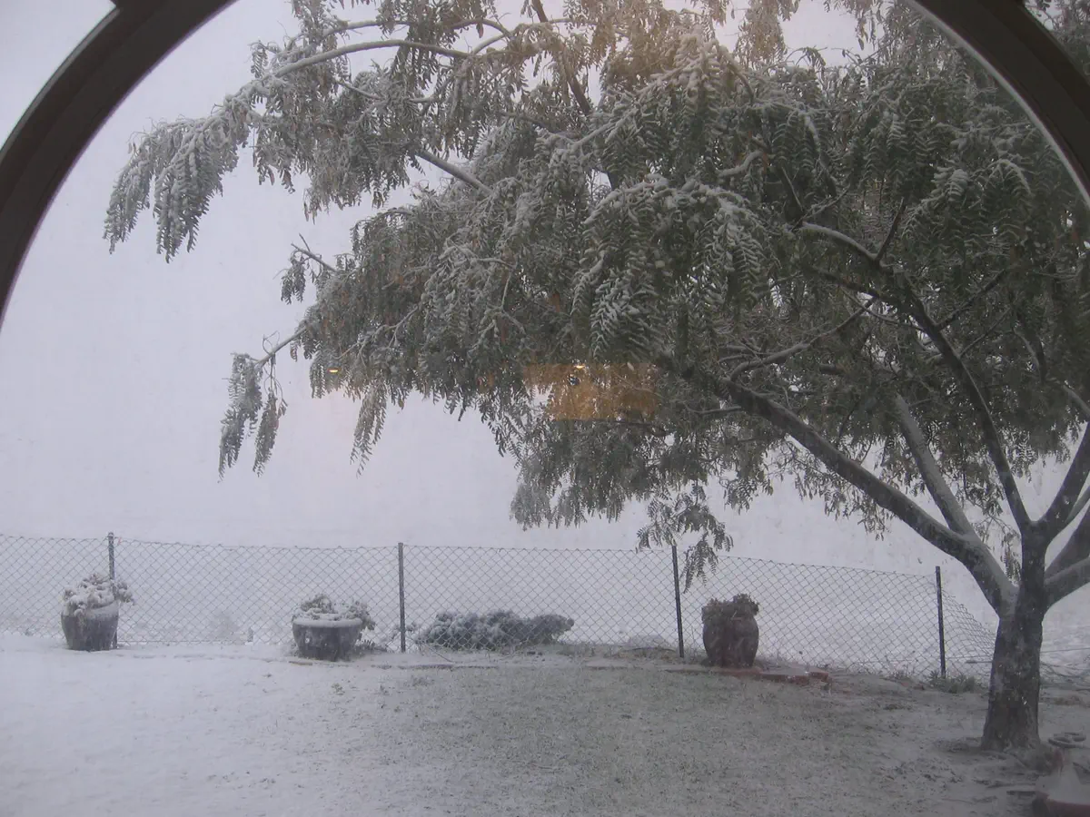 שלג על ספר המדבר - מעלה חבר