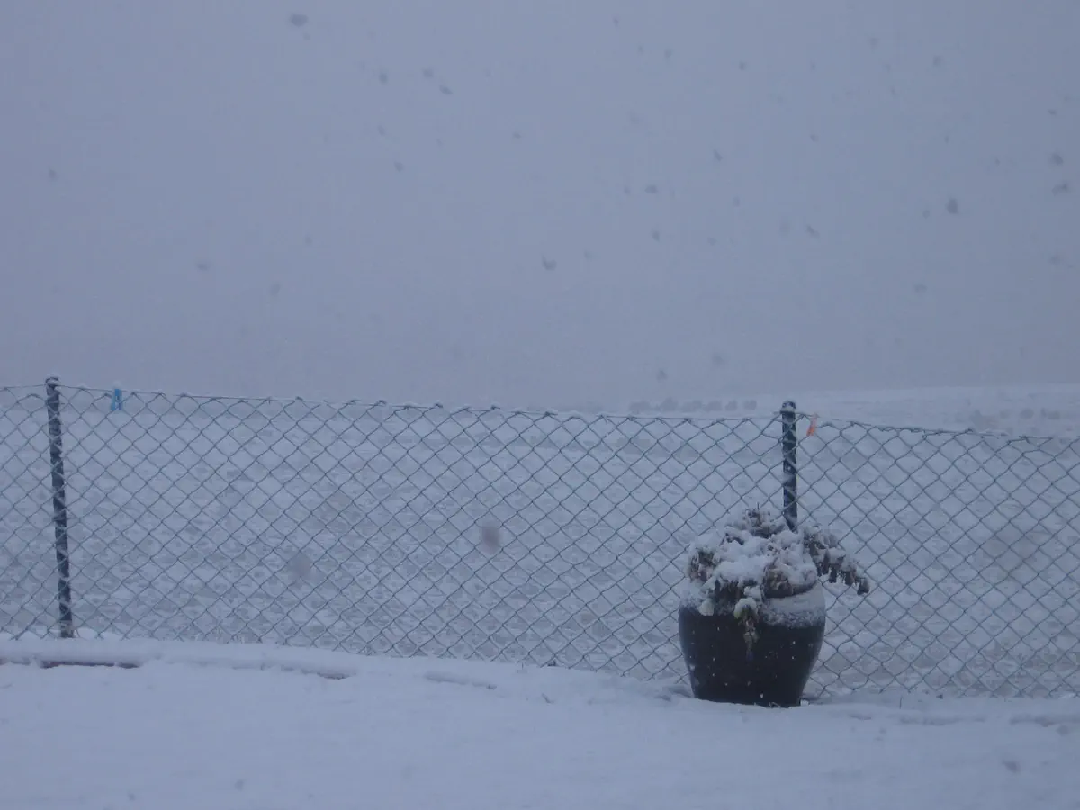 שלג על ספר המדבר - מעלה חבר