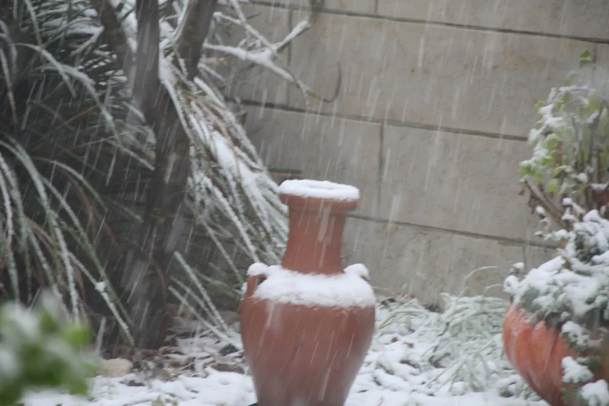 שלג בבית אל