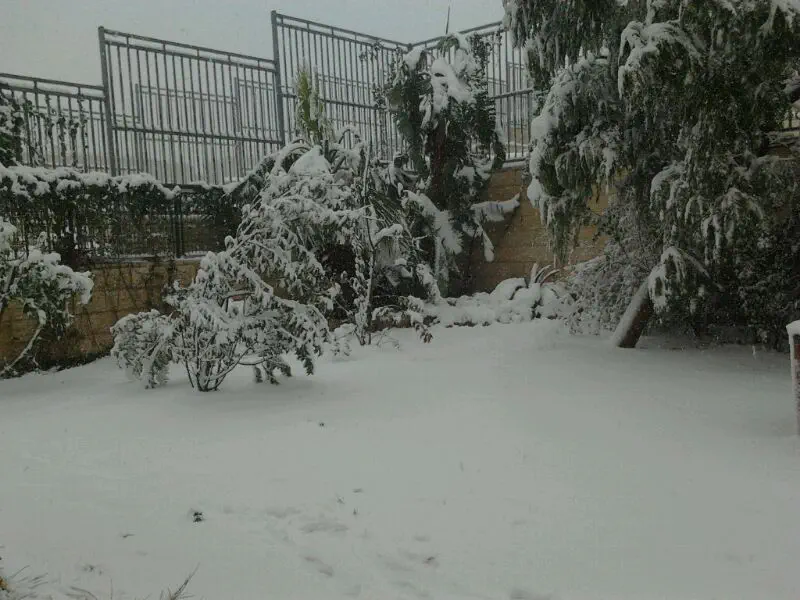 שלג ברמת שלמה