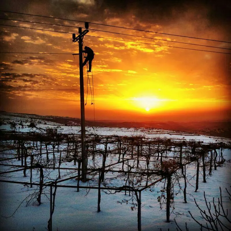 כרמי הר ברכה המושלגים בשקיעה